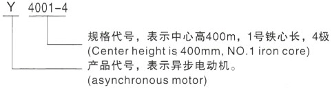 西安泰富西玛Y系列(H355-1000)高压YJTFKK4004-8-185KW三相异步电机型号说明